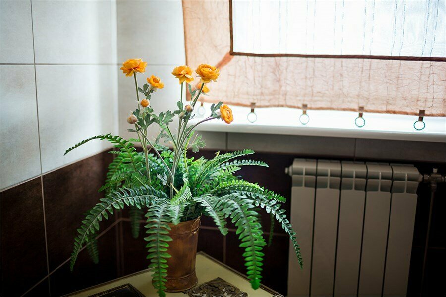 Гостиница Волна Светлогорск