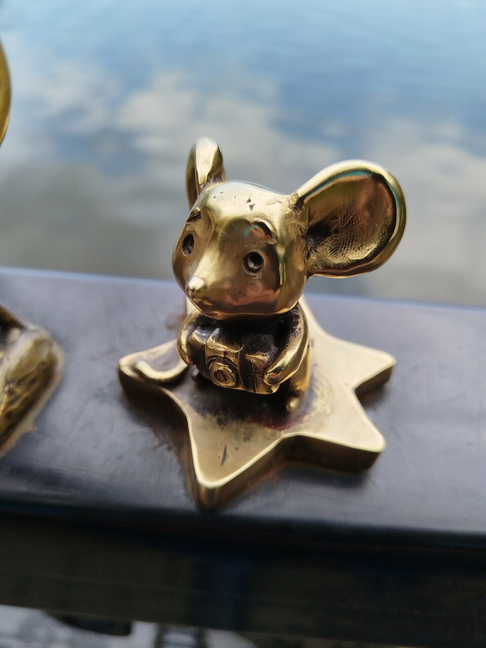 Гостиница Волна Светлогорск-248