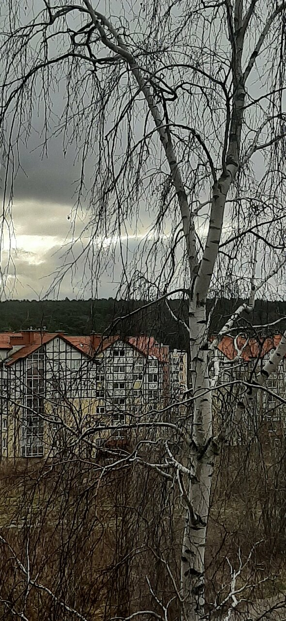 Гостиница Волна Светлогорск-166