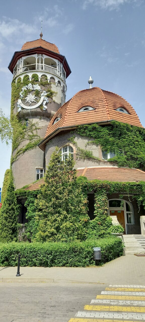 Гостиница Волна Светлогорск-155