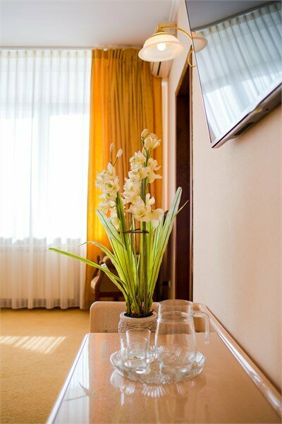 Гостиница Волна Светлогорск