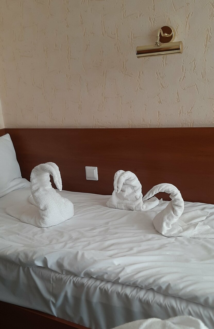 Гостиница Волна Светлогорск-118