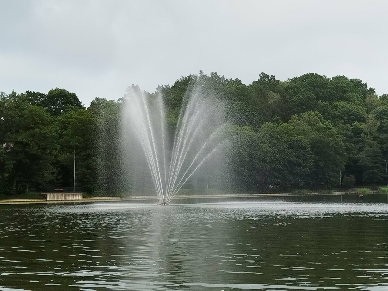 Гостиница Волна Светлогорск-86