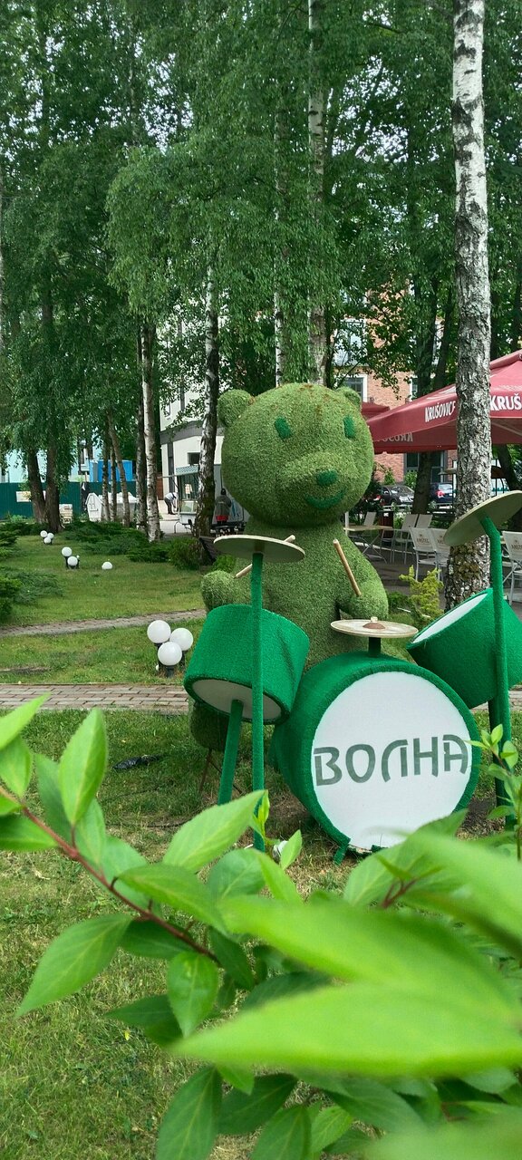 Гостиница Волна Светлогорск-69