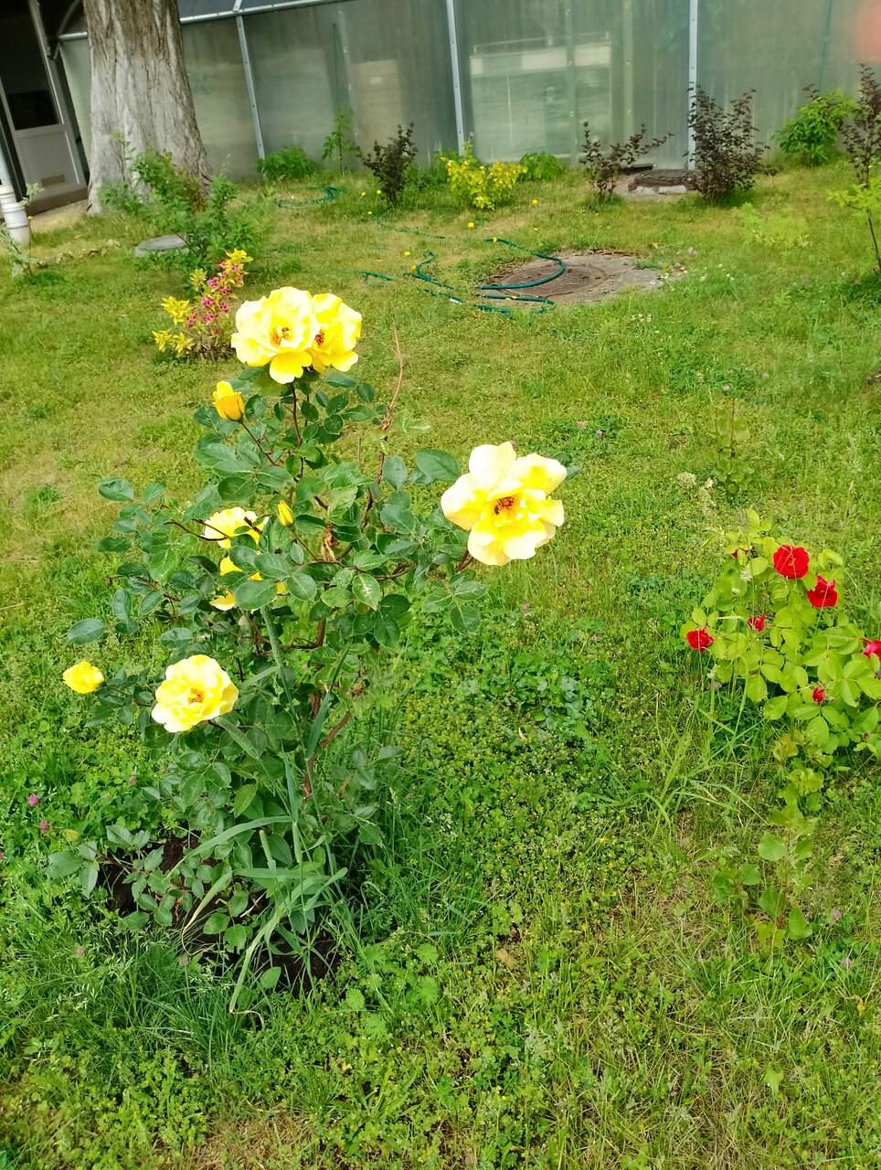 Гостиница Волна Светлогорск-139