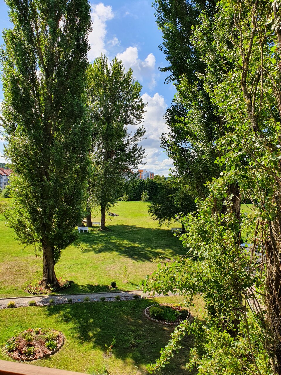 Гостиница Волна Светлогорск-218