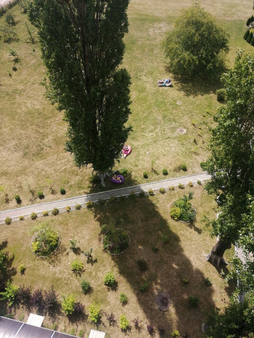 Гостиница Волна Светлогорск-250