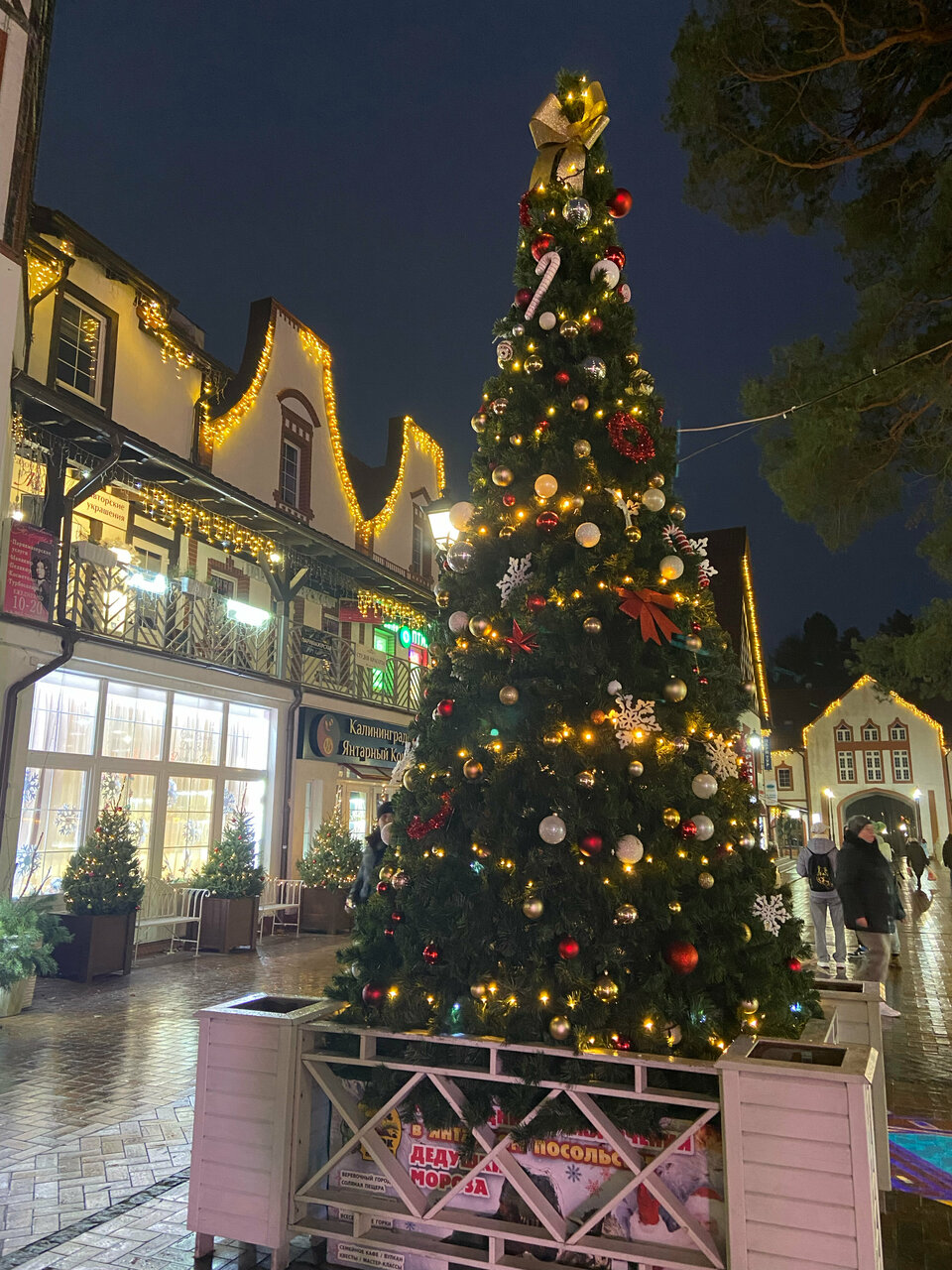 Гостиница Волна Светлогорск-68