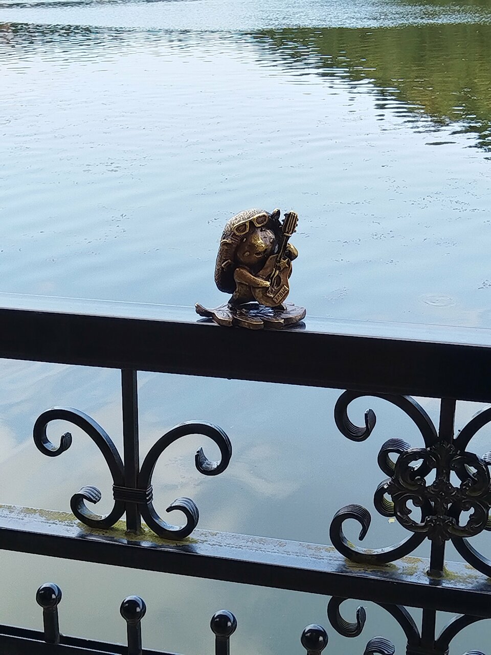 Гостиница Волна Светлогорск-136