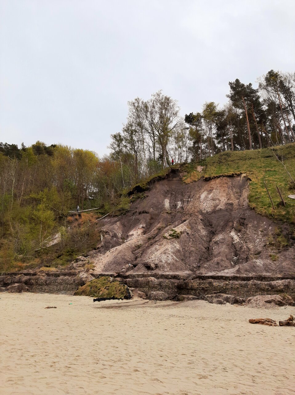 Гостиница Волна Светлогорск-138