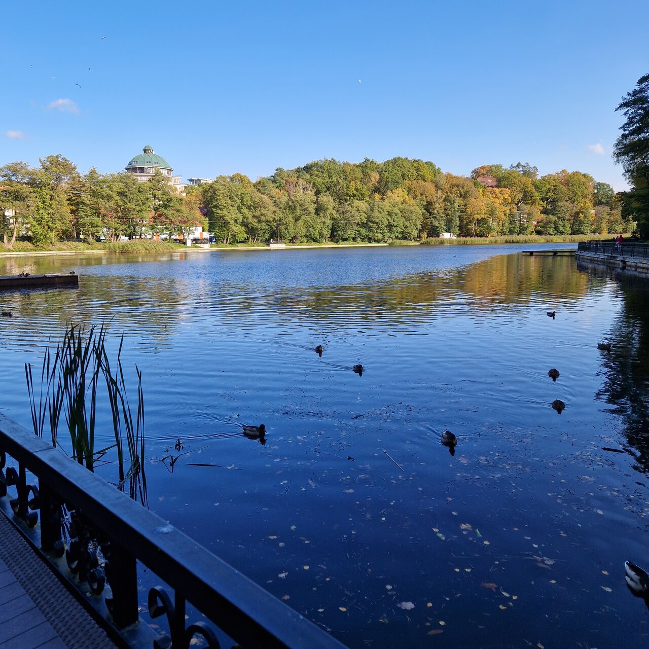 Гостиница Волна Светлогорск-153