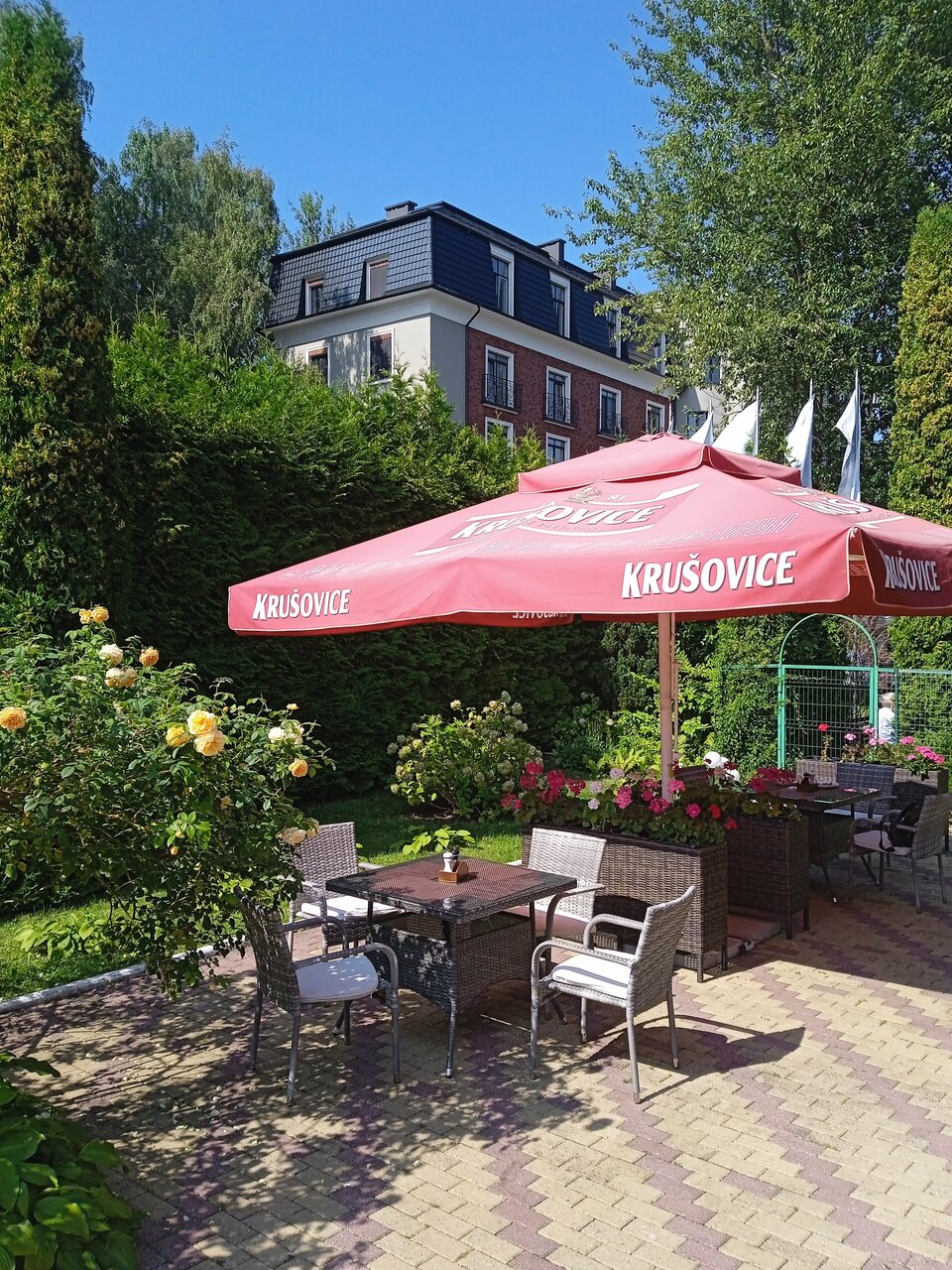 Гостиница Волна Светлогорск-83