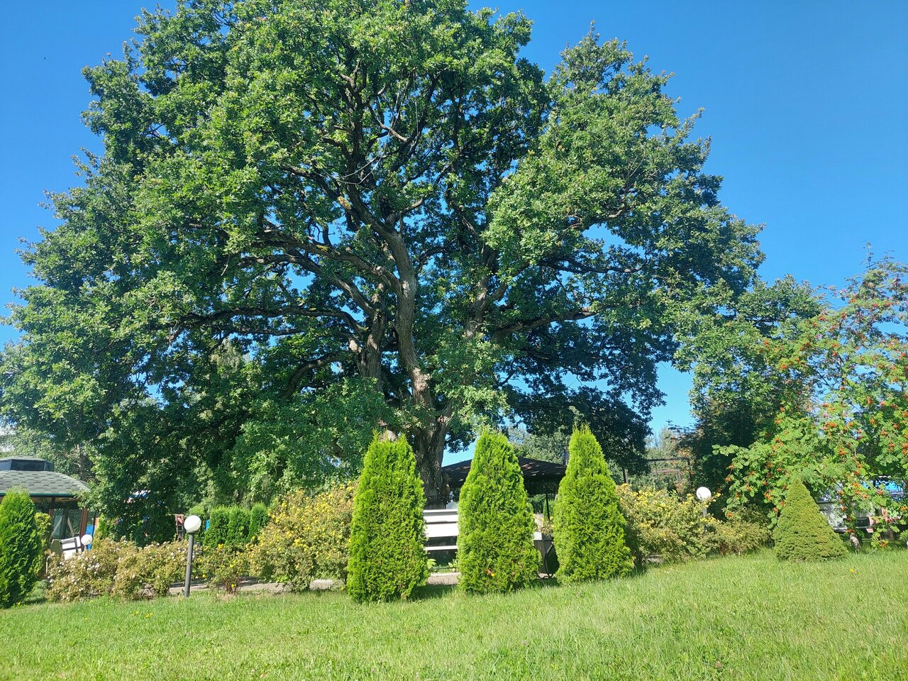 Гостиница Волна Светлогорск-122