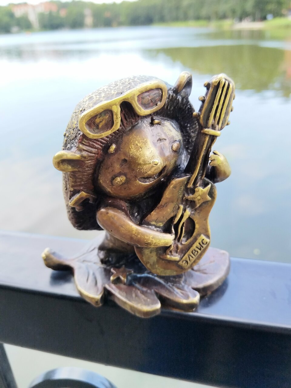 Гостиница Волна Светлогорск-79