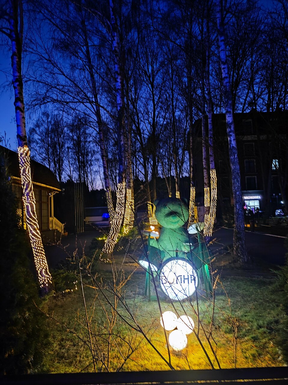 Гостиница Волна Светлогорск-214