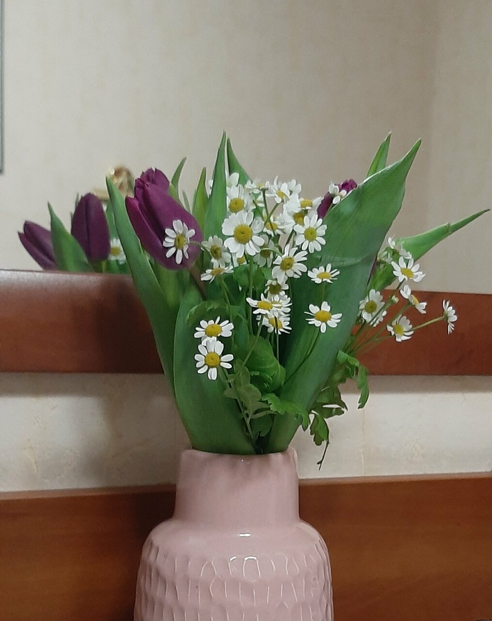 Гостиница Волна Светлогорск-227