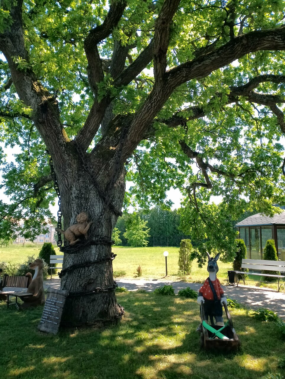 Гостиница Волна Светлогорск-244