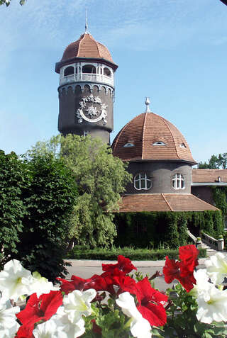 Гостиница Волна Светлогорск-2