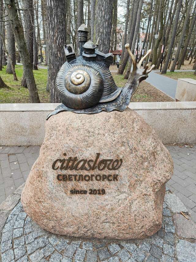 Гостиница Волна Светлогорск-108