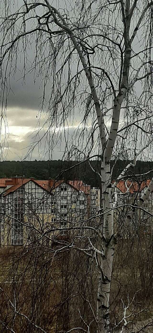 Гостиница Волна Светлогорск-165