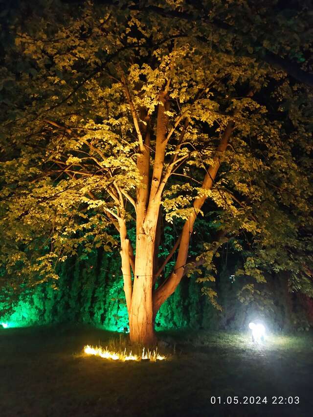 Гостиница Волна Светлогорск-156