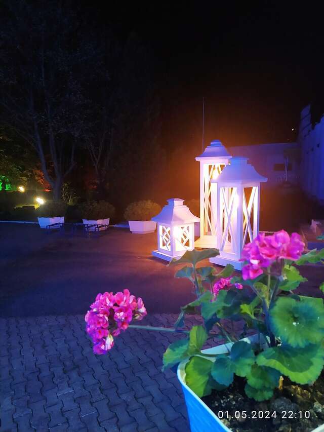 Гостиница Волна Светлогорск-169