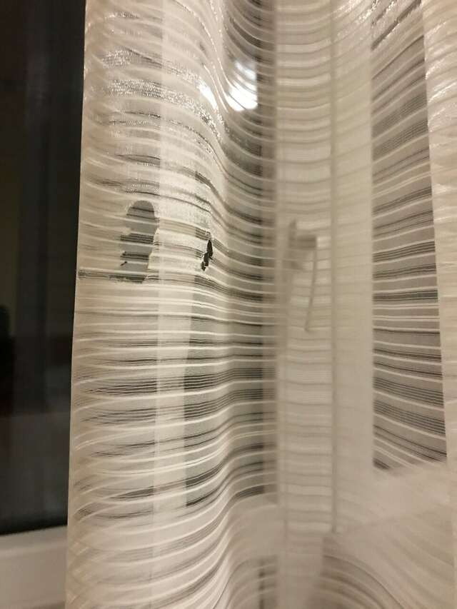 Гостиница Волна Светлогорск-126