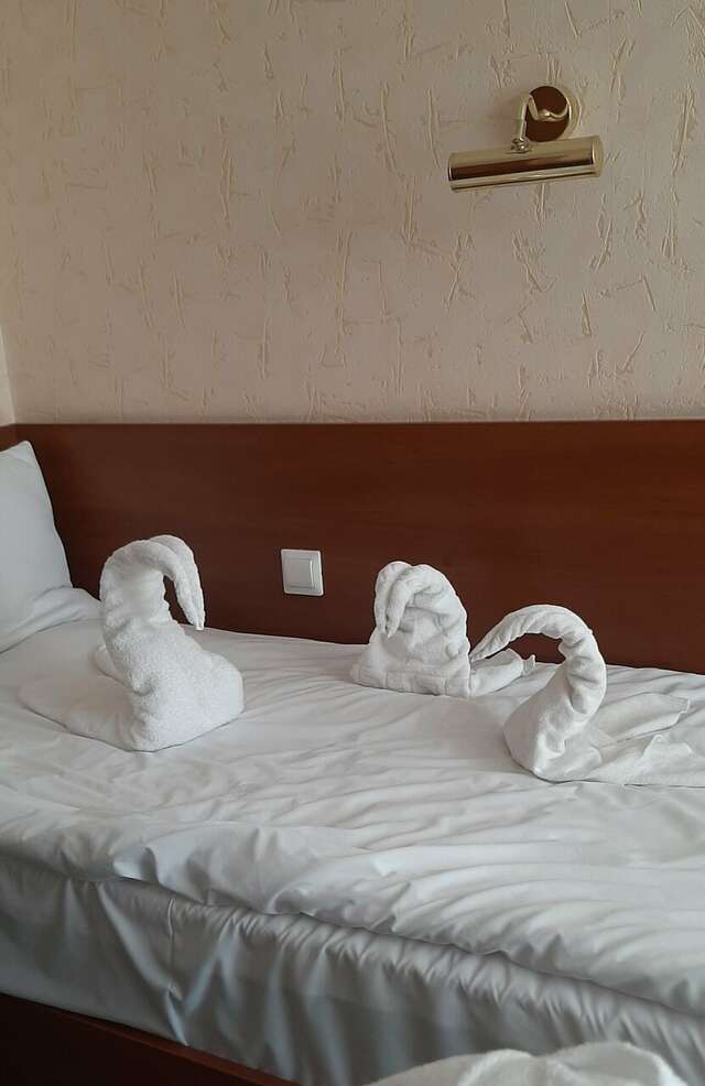 Гостиница Волна Светлогорск-117