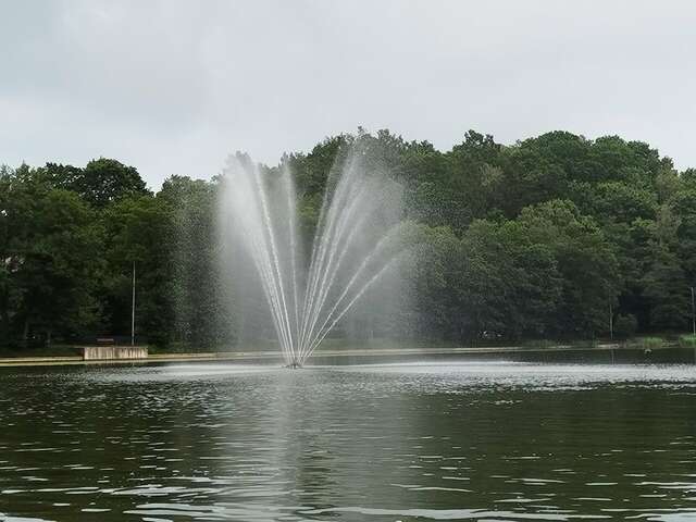 Гостиница Волна Светлогорск-85