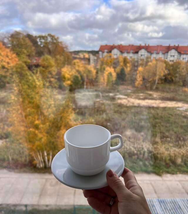 Гостиница Волна Светлогорск-86