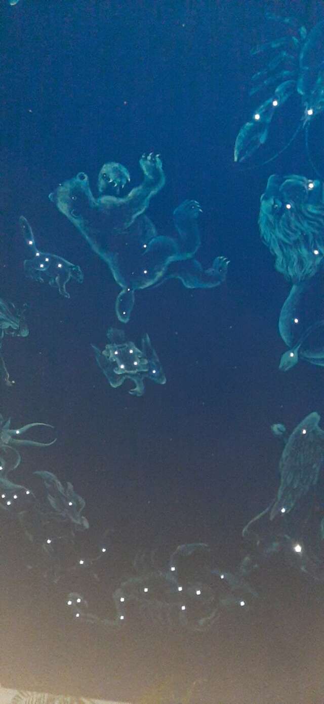 Гостиница Волна Светлогорск-194