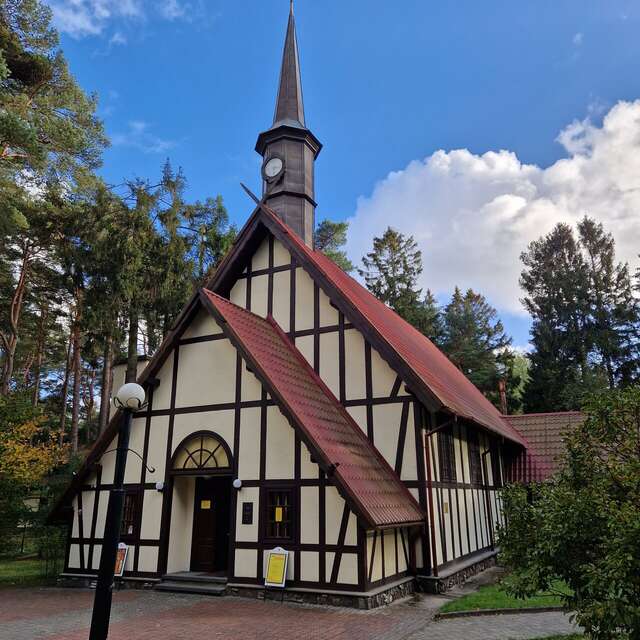 Гостиница Волна Светлогорск-123