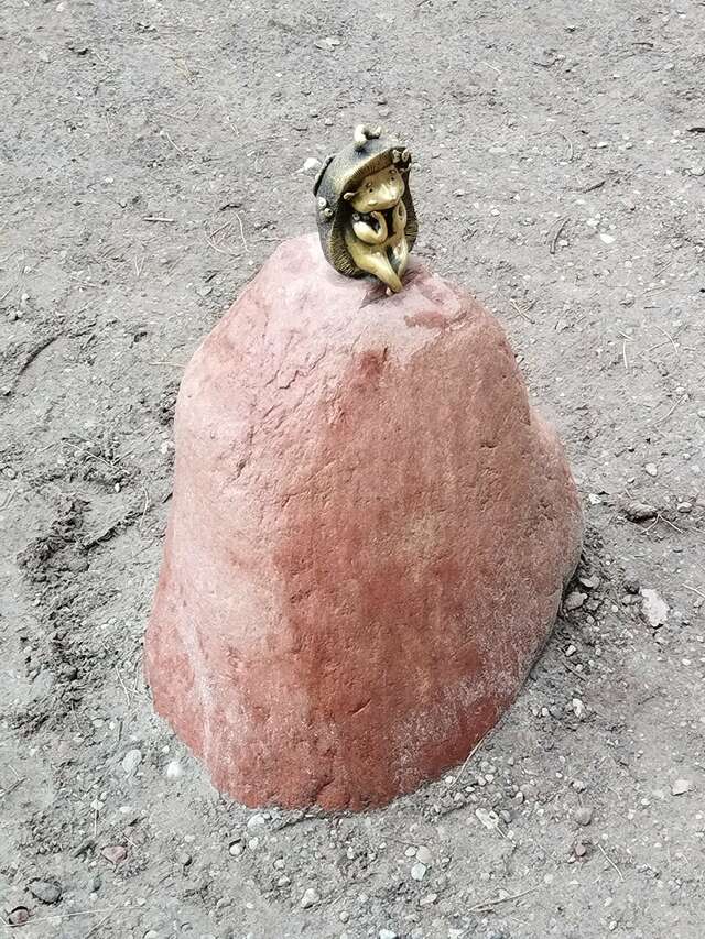 Гостиница Волна Светлогорск-201