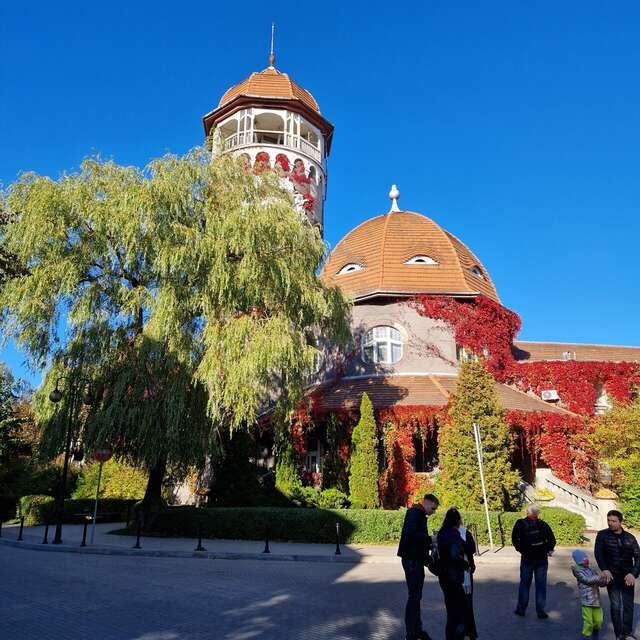 Гостиница Волна Светлогорск-95