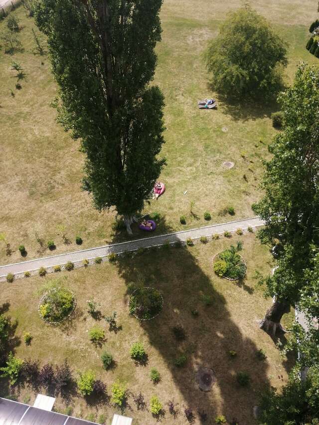 Гостиница Волна Светлогорск-249