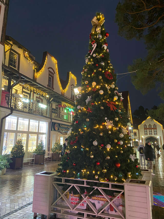 Гостиница Волна Светлогорск-67