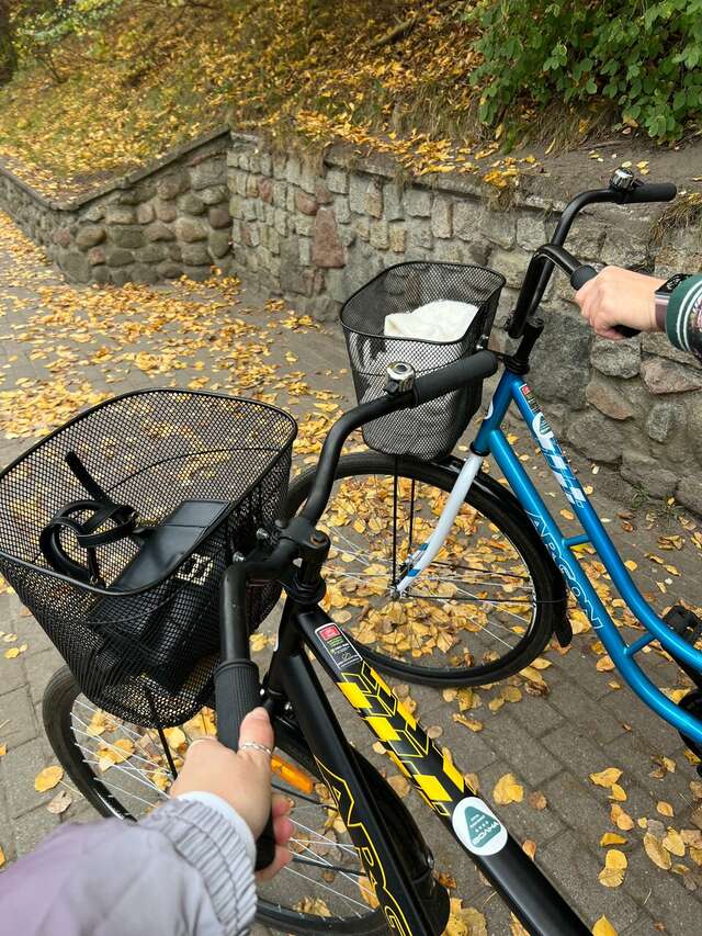 Гостиница Волна Светлогорск-116