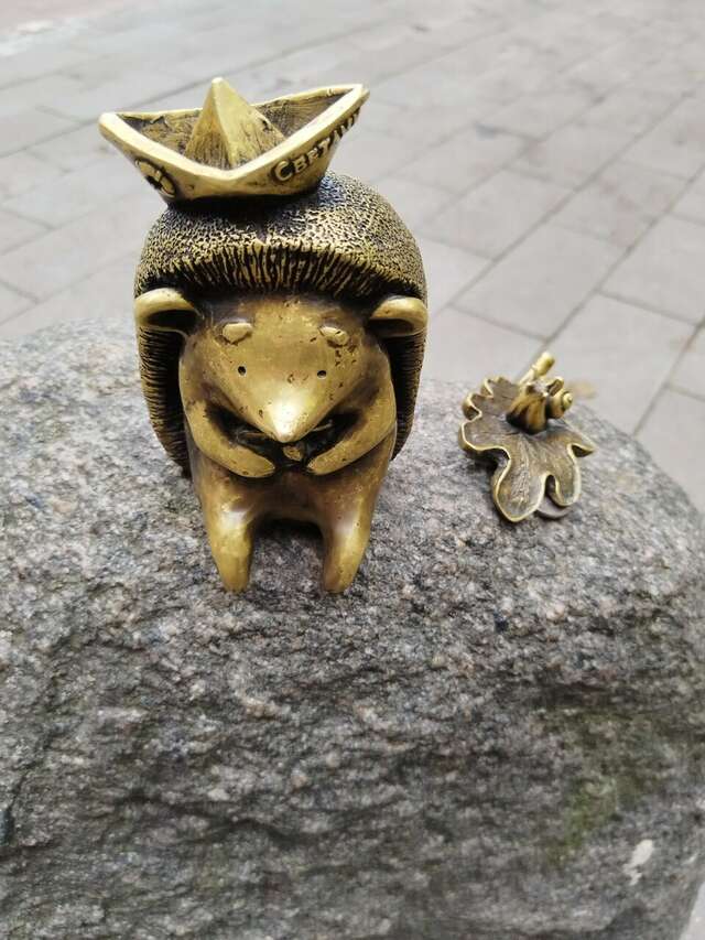 Гостиница Волна Светлогорск-166