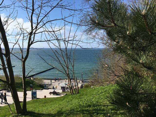 Гостиница Волна Светлогорск-208