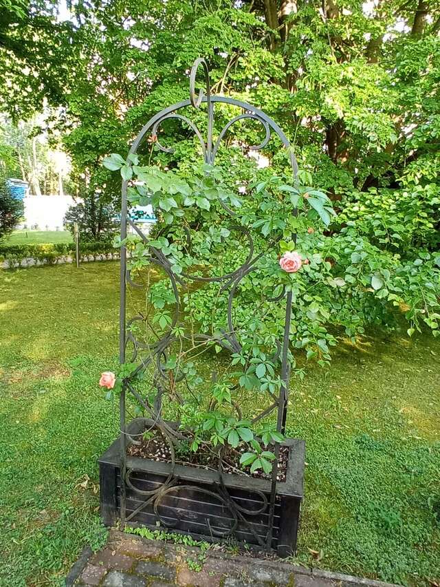 Гостиница Волна Светлогорск-129