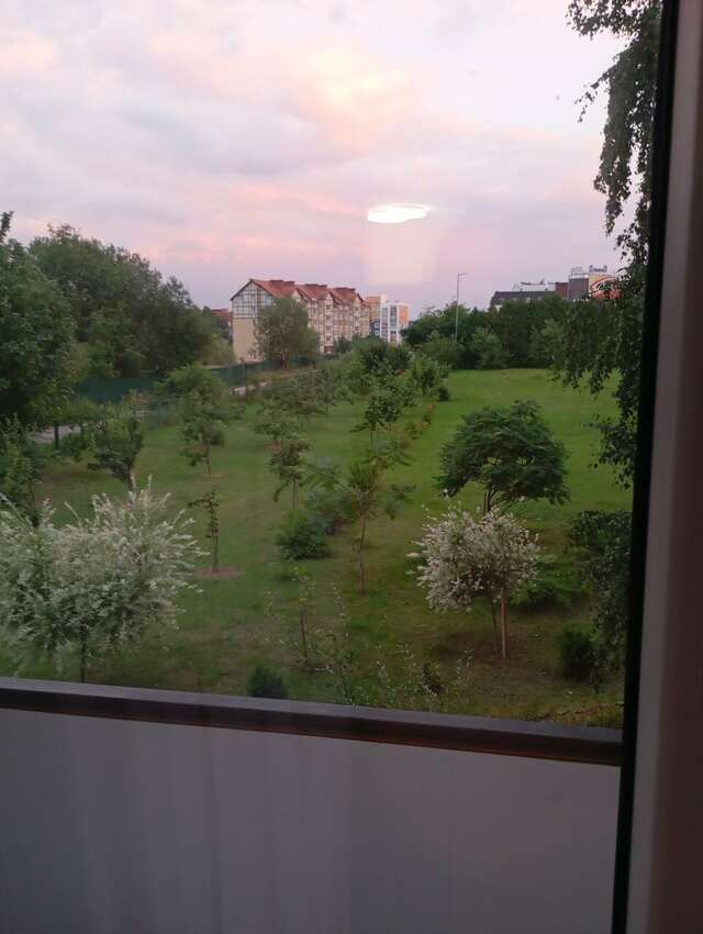 Гостиница Волна Светлогорск-125