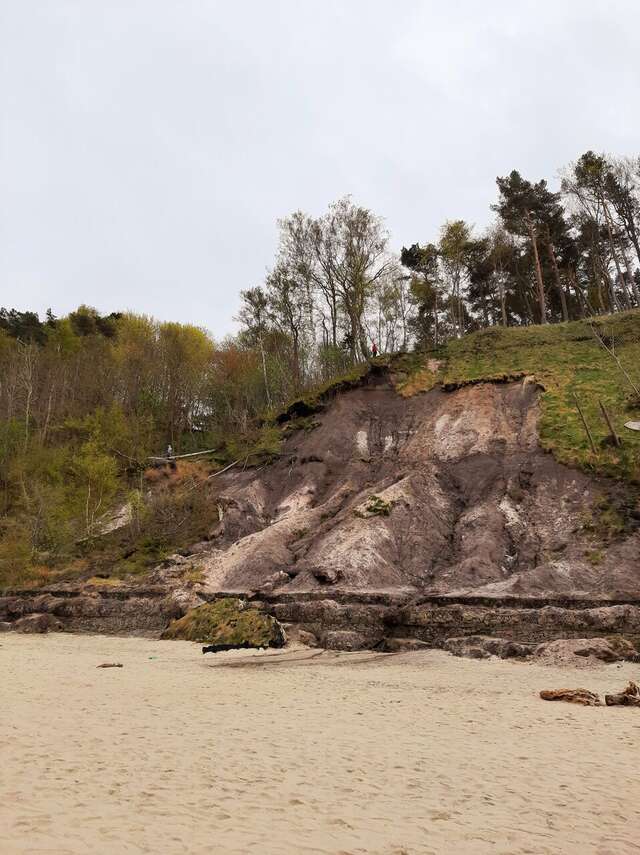 Гостиница Волна Светлогорск-137