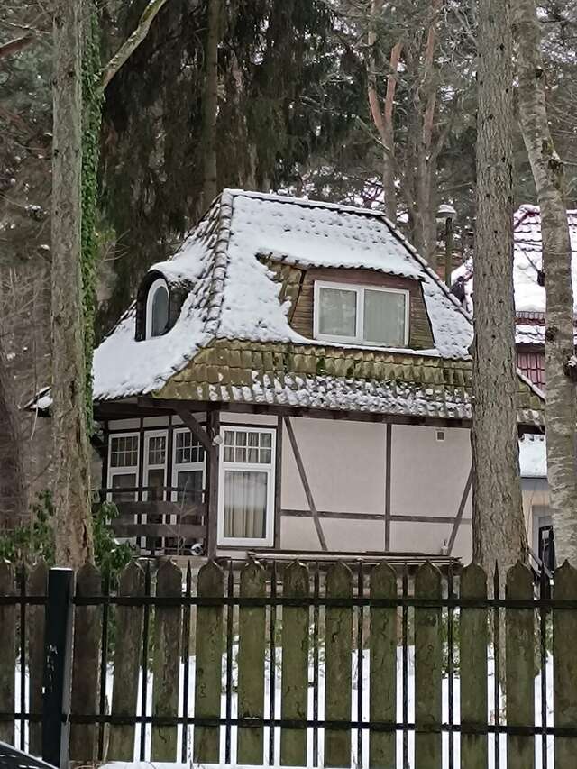 Гостиница Волна Светлогорск-225