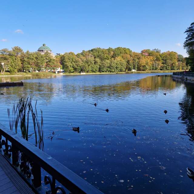 Гостиница Волна Светлогорск-152