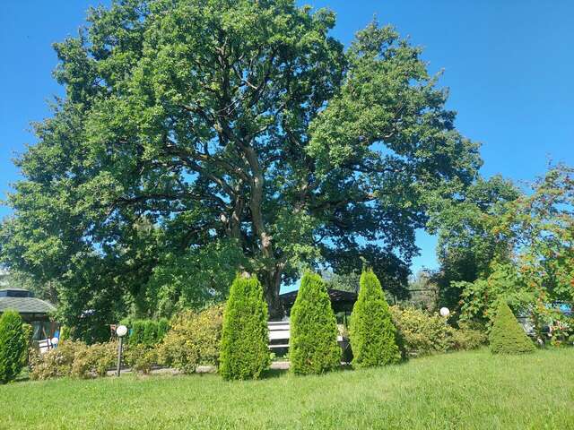 Гостиница Волна Светлогорск-121