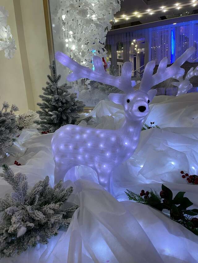 Гостиница Волна Светлогорск-146