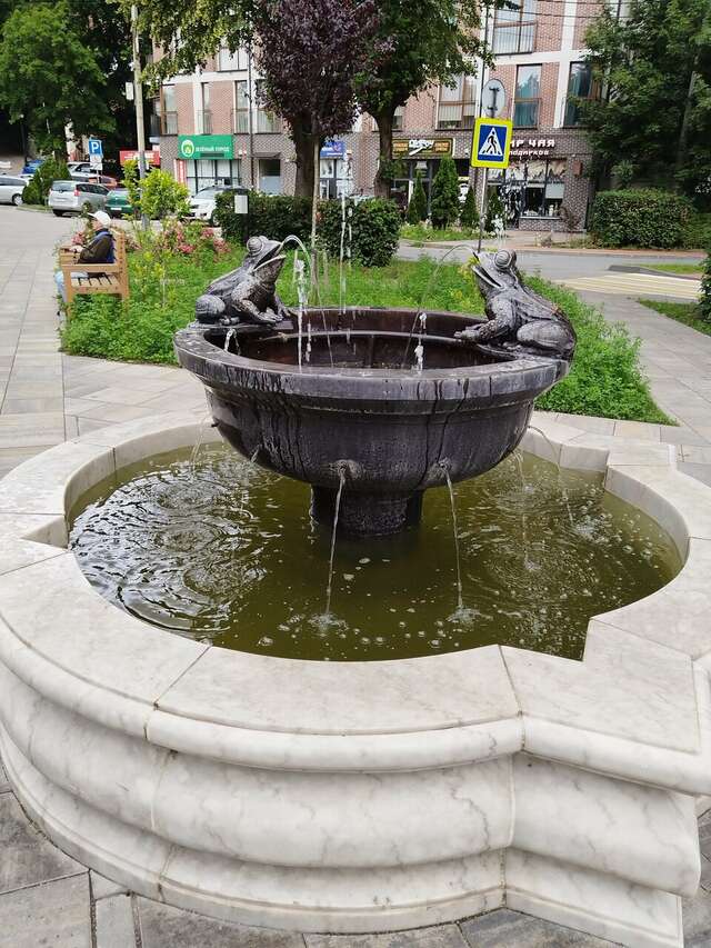 Гостиница Волна Светлогорск-130