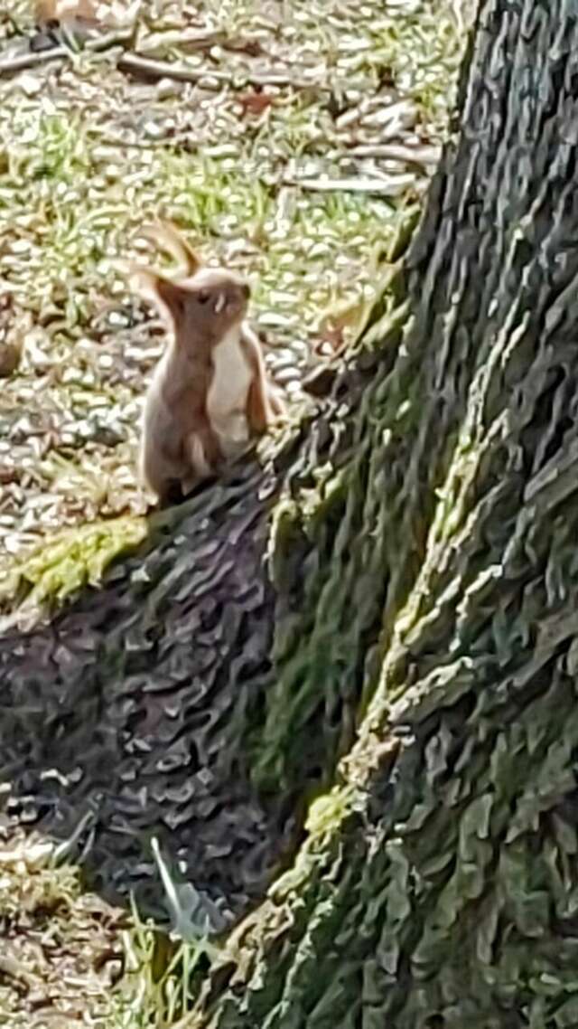Гостиница Волна Светлогорск-111