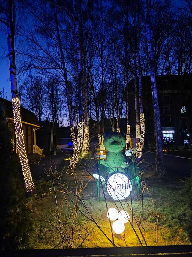 Гостиница Волна Светлогорск-213