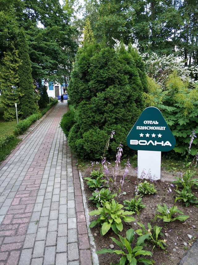 Гостиница Волна Светлогорск-183